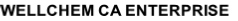WELLCHEM CA ENTERPRISE 